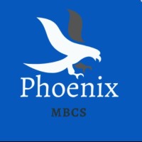 Phoenix Medical Billing & Credentialing Soloution logo - Similar company to X-Factor Healthcare Solutions Llc