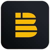 BI Vantage Consulting logo - Similar company to Bi Adaptive