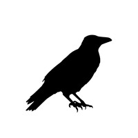 Njörðr Project logo - Similar company to Ss Website Solutions