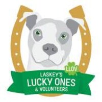 Laskey's Lucky Ones and Volunteers - LLOV logo - Similar company to Prevention Of Blindness Society Of Metropolitan Washington