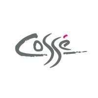 COSSE Ltd logo - Similar company to Image & Time