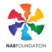 NABFOUNDATION logo - Similar company to Nab Leadership Foundation