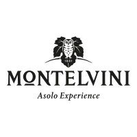 Montelvini logo - Similar company to Makpod