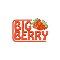 Big Berry Tarım A.Ş. logo - Similar company to Agromila Crop Nutritions, Irrigation Fertilizers And Biopesticides