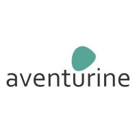 Aventurine Software Pvt Ltd logo - Similar company to Ennef India