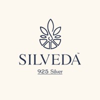 SILVEDA logo - Similar company to Sparkplug Inc.