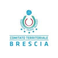 Fipav Brescia logo - Similar company to Fipav Romagna