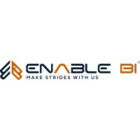 Enable BI Software Solutions Pvt. Ltd. logo - Similar company to Altariz Solutions Pvt Ltd
