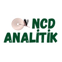 NCD ANALİTİK logo - Similar company to Mila Teknik Çözümler