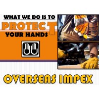 Overseas Impex logo - Similar company to Resolute Global Development Pvt Ltd