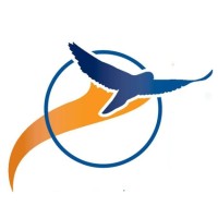 Oriole Consulting logo - Similar company to Jacana Advisory
