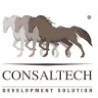 CONSALTECH  S.R.L. logo - Similar company to Dry At Work