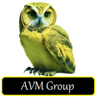 AVM Group logo - Similar company to Eezix.Ai