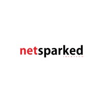 NetSparked Infotech logo - Similar company to Base2Brand Infotech Pvt. Ltd.
