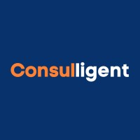 Consulligent logo - Similar company to Hysys Technologies