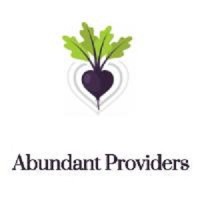 Abundant Providers Foundation logo - Similar company to Invictus Northwest Group