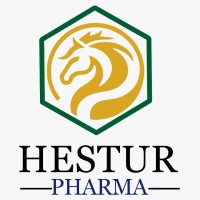 HESTUR PHARMA PRIVATE LIMITED logo - Similar company to Smart Pharma Soft Solutions Pvt. Ltd.