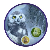 WiseOwls.life logo - Similar company to Your Mba Advisor
