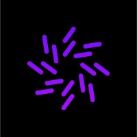 NETZFABRIK logo - Similar company to Open Digital Experience