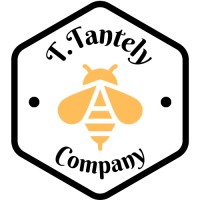 T Tantely Company logo - Similar company to Escalade Seo