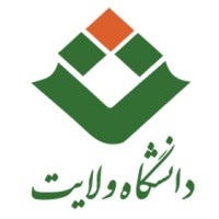 Velayat University
