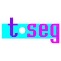 TSEG -The Low Countries Journal of Social and Economic History logo - Similar company to Historiek
