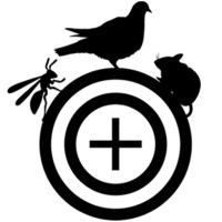 Northern Pest Management Ltd logo - Similar company to Brokenpencil