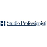 Studio Professionisti logo - Similar company to Bgf Group