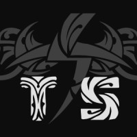 Tribal Storm logo - Similar company to Gmw Studio