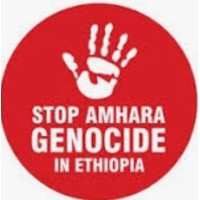 WarOnAmhara MonitoringTracking_WMT logo - Similar company to Social Impact Research