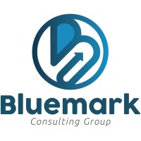 Bluemark Consulting Group logo - Similar company to Indmerc Solutions Pvt Ltd