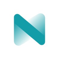 Netshine logo - Similar company to Prismagrid