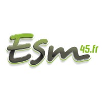 ESM45 logo - Similar company to Work And Progress
