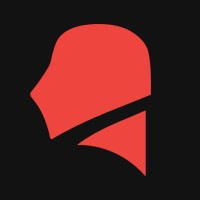Consulting Vision logo - Similar company to Tribeup