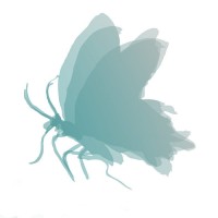 Simone Decorart logo - Similar company to Fundación Jorge Padilla Blanco