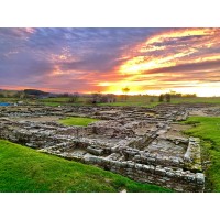 THE VINDOLANDA TRUST logo - Similar company to Fishbourne Roman Palace