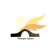 Phoenixgate Solutions 凤凰桥 logo - Similar company to Vericant