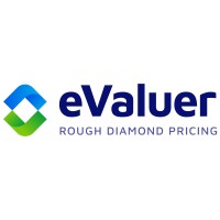 eValuer logo - Similar company to Safa Aus