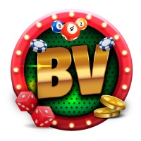 Bingo ao Vivo logo - Similar company to Bingo.Lu