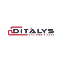 Ditalys Trading logo - Similar company to Constructive Image