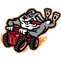 Thrillville Thrillbillies logo - Similar company to Discover Downstate Illinois