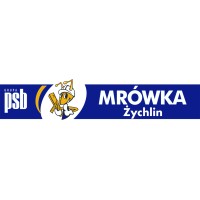 ZŁOTE RĘCE PSB Mrówka Żychlin logo - Similar company to Psb Mrówka