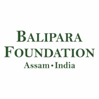 Balipara Foundation logo - Similar company to Roots To Branches Foundation