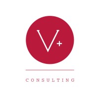 VE MAS CONSULTING logo - Similar company to Plexarian Cloud