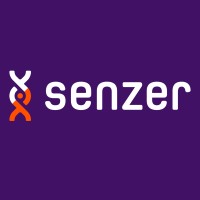_Senzer logo - Similar company to Etesian It Consulting
