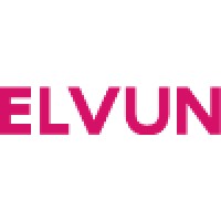 Elvun logo - Similar company to Andersen Digital