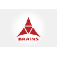 AAA Brains
