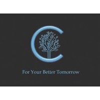 CTree Technologies pvt ltd logo - Similar company to Futurebuzz Consultant Llp
