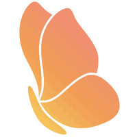 Silk AI logo - Similar company to Techsoch