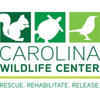 Carolina Wildlife Center logo - Similar company to American Eagle Foundation